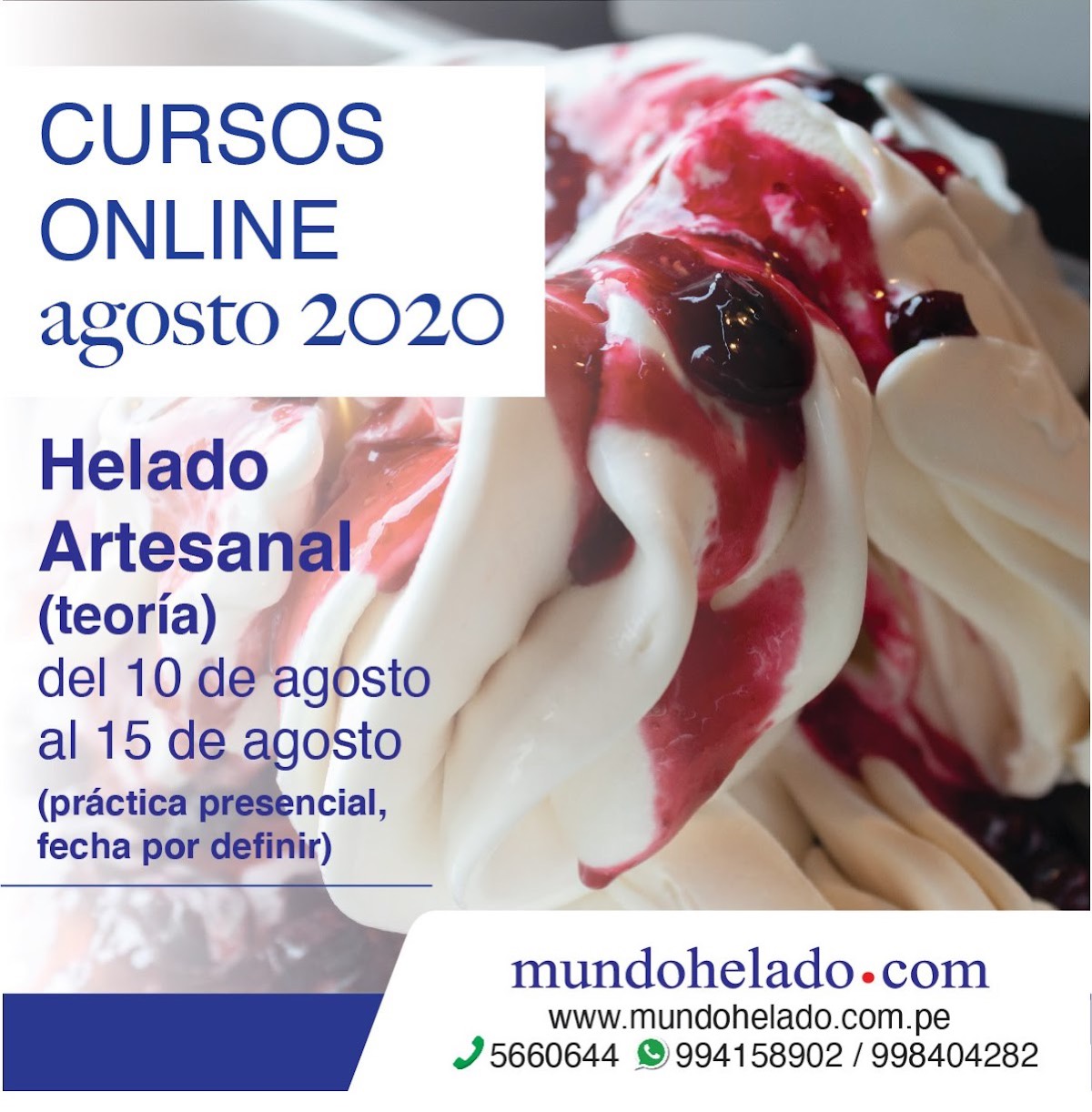 Mundo Helado — Consultores de Heladería